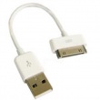 Cable USB Iphone / Ipod / Ipad 10 cm